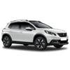 Peugeot 208 (на рейлинги)